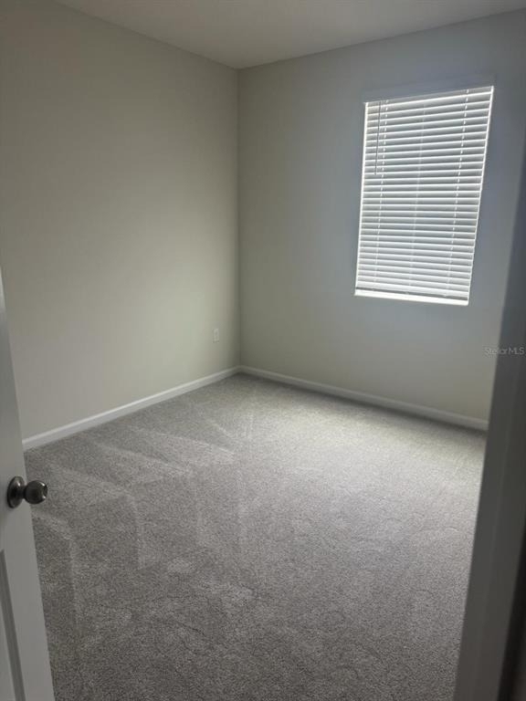 564 Pothos Street - Photo 9