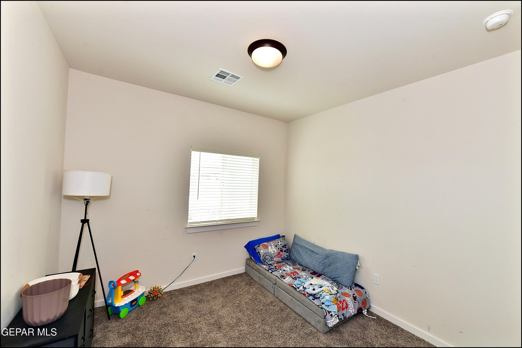 11182 Blazing Star Place - Photo 22
