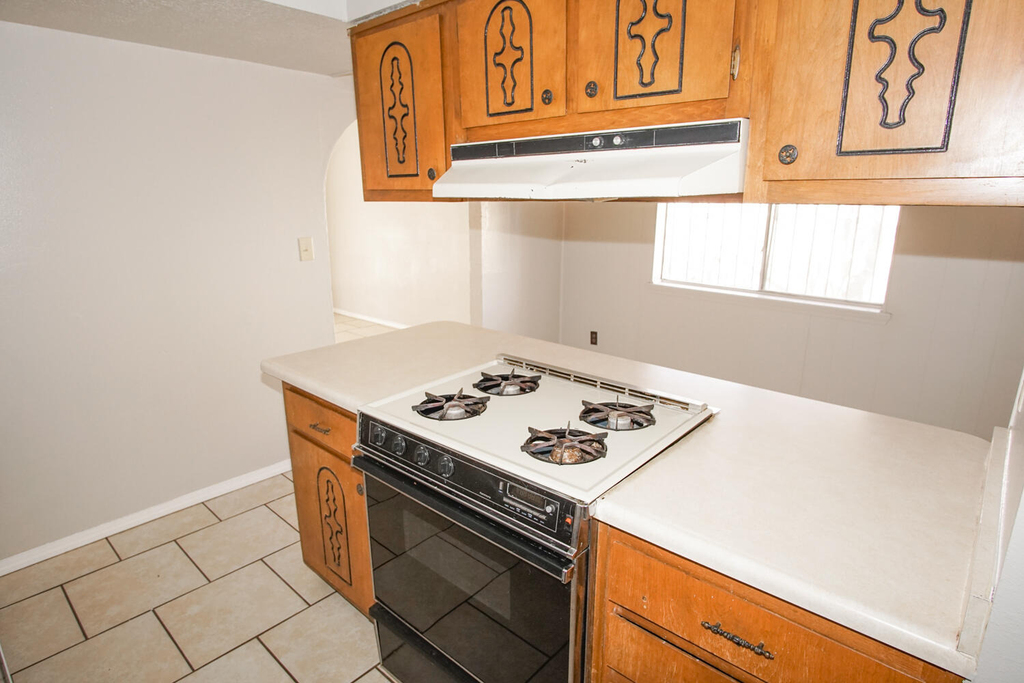 10109 Milan Street - Photo 6