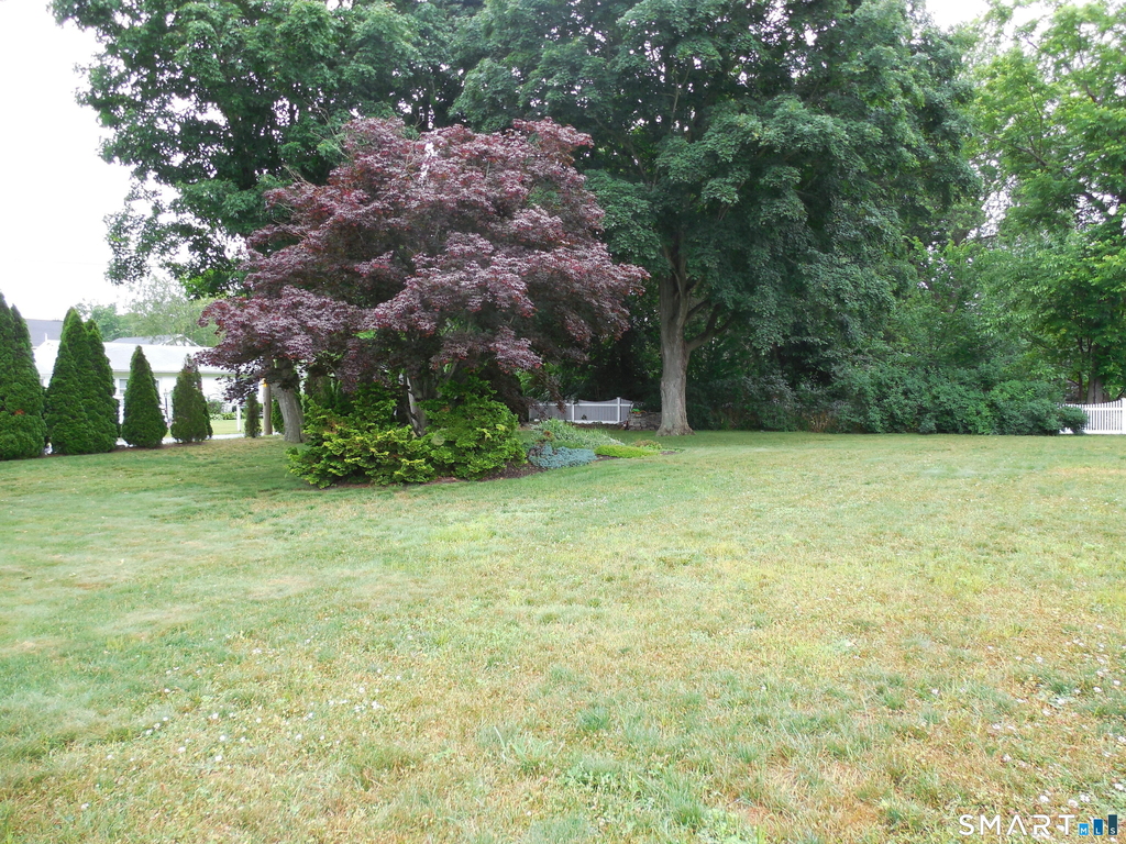 16 Shorelands Drive - Photo 29