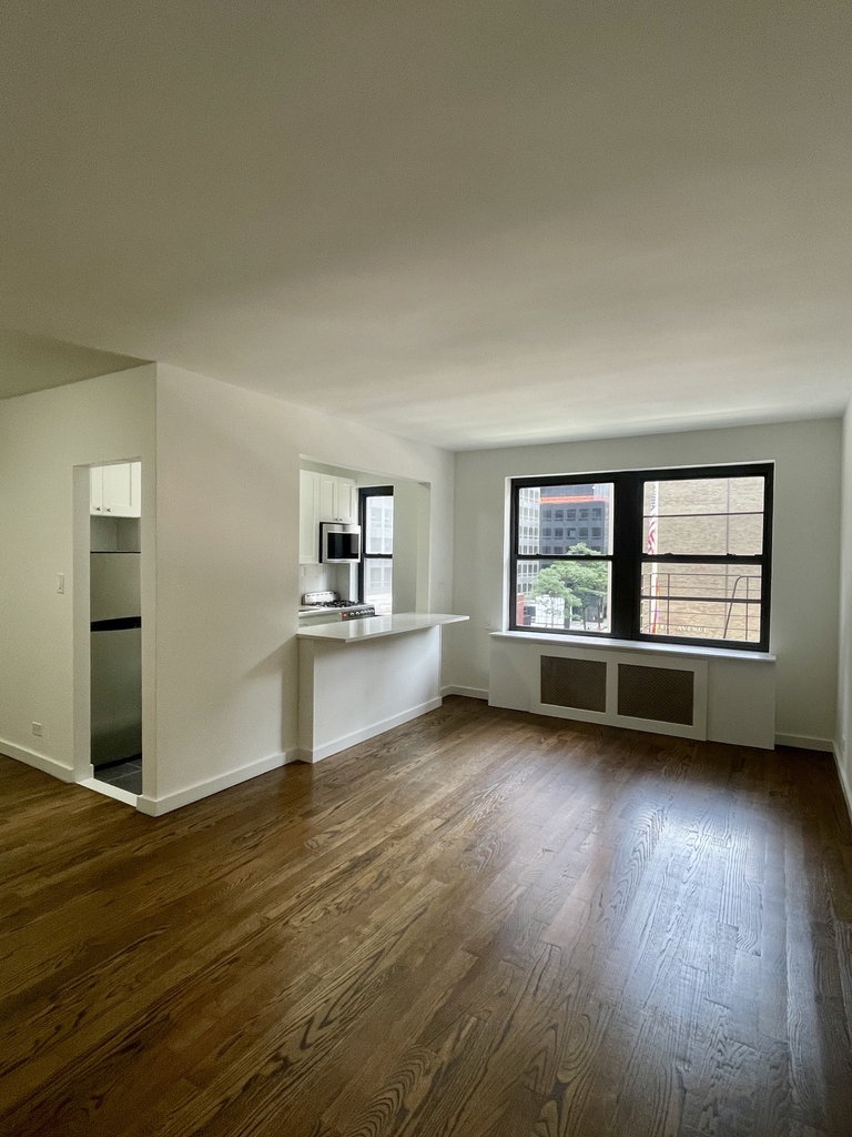 East 55th Street - Photo 4