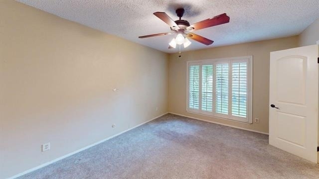 5809 Chimney Wood Circle - Photo 14