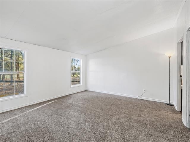 202 Forgotten Lane - Photo 13