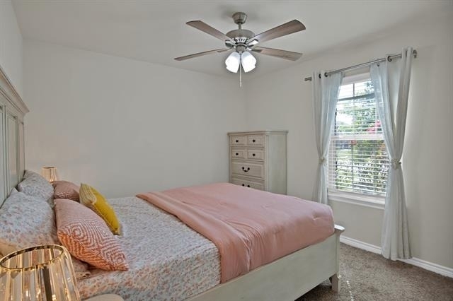 1107 Branding Iron Lane - Photo 17