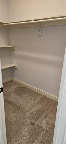 10531 Steinbeck Lane - Photo 4