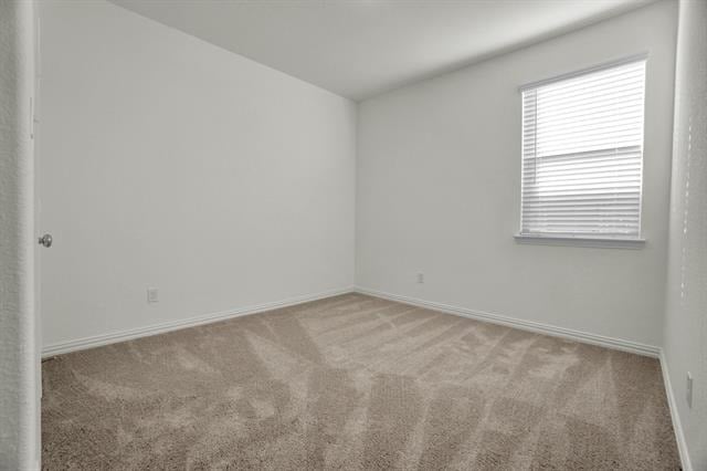 8700 Whistling Duck Drive - Photo 6