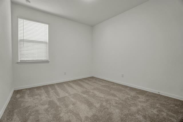 8700 Whistling Duck Drive - Photo 7