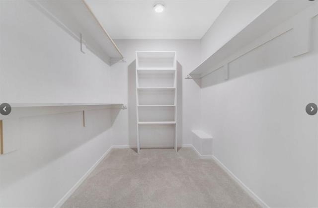 1131 Forester Drive - Photo 8