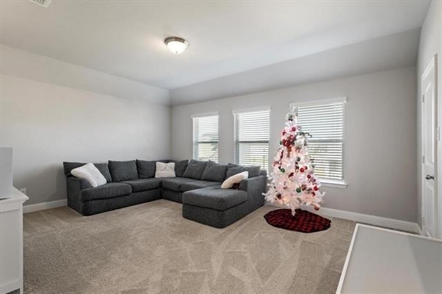 405 Rosie Court - Photo 17