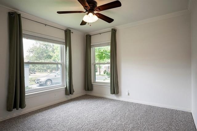3950 Hawick Lane - Photo 18
