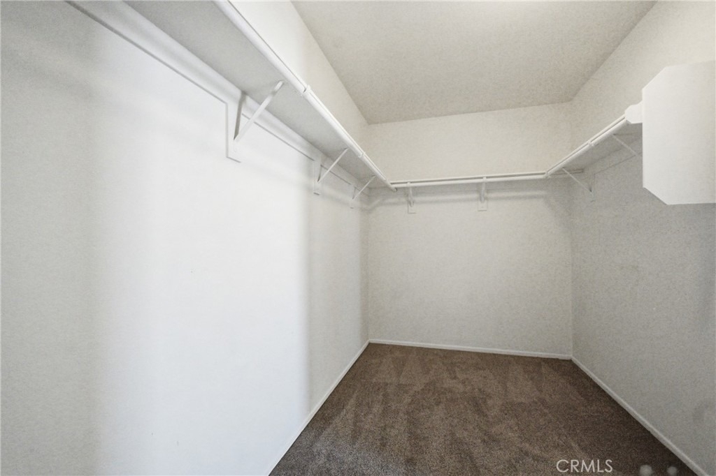13333 Goldenhorn - Photo 16
