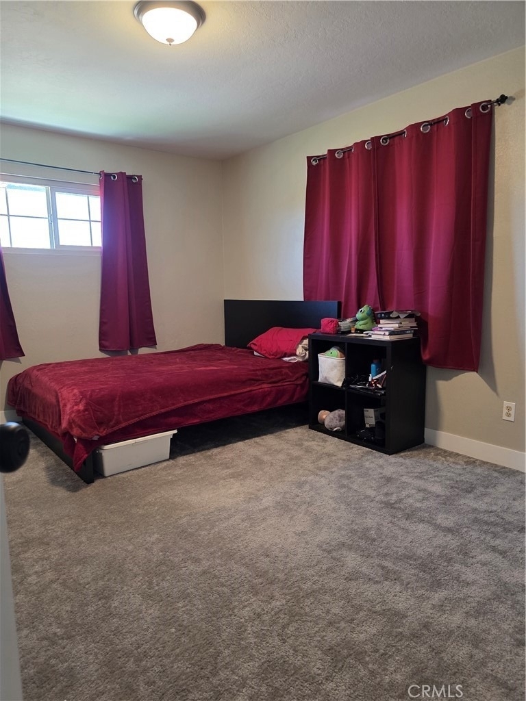 25595 Cheryle - Photo 8
