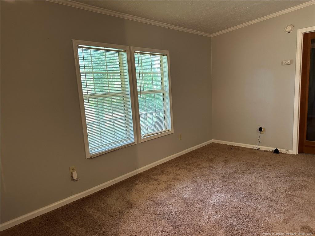 21621 Old Maxton Road - Photo 9
