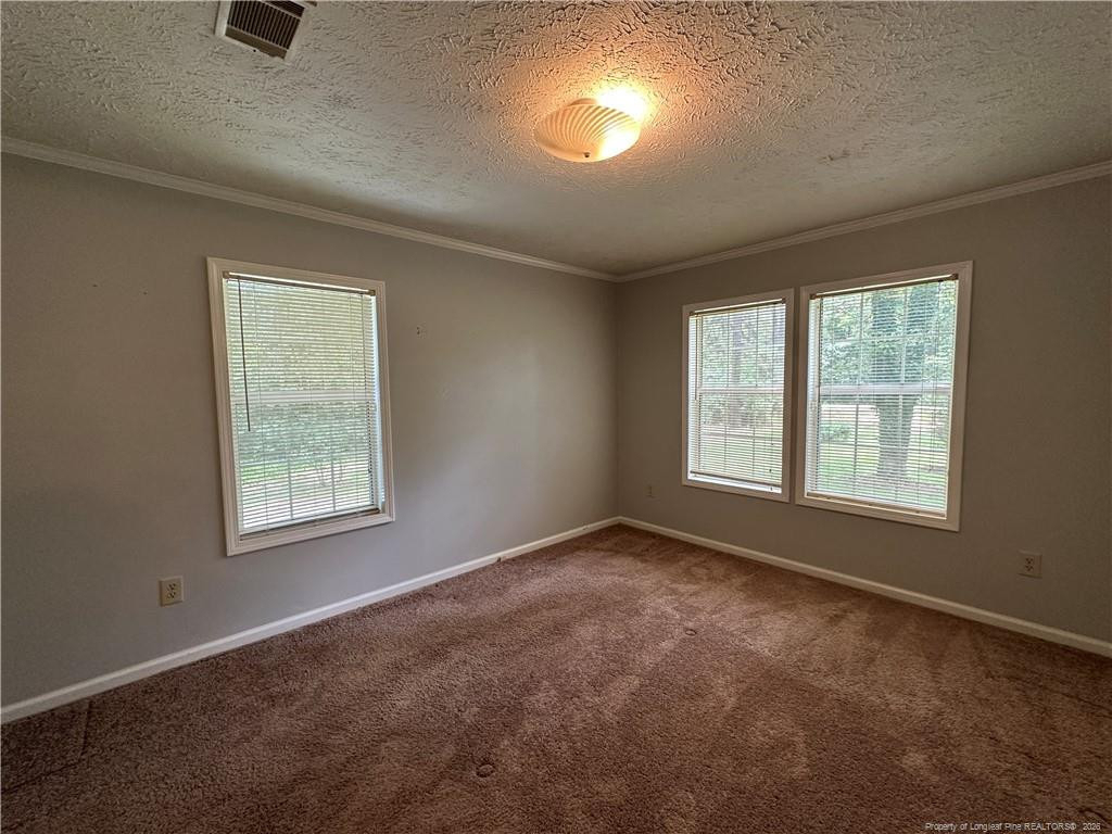 21621 Old Maxton Road - Photo 29