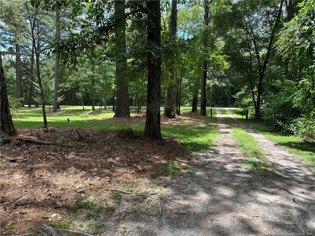 21621 Old Maxton Road - Photo 5