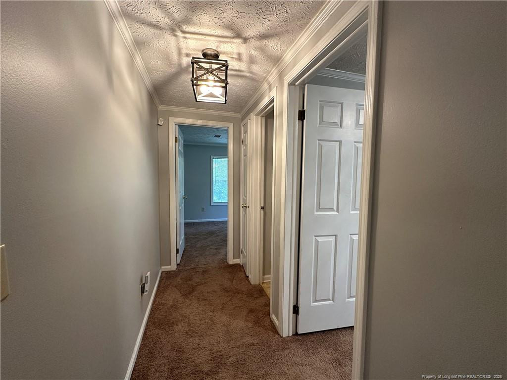 21621 Old Maxton Road - Photo 24