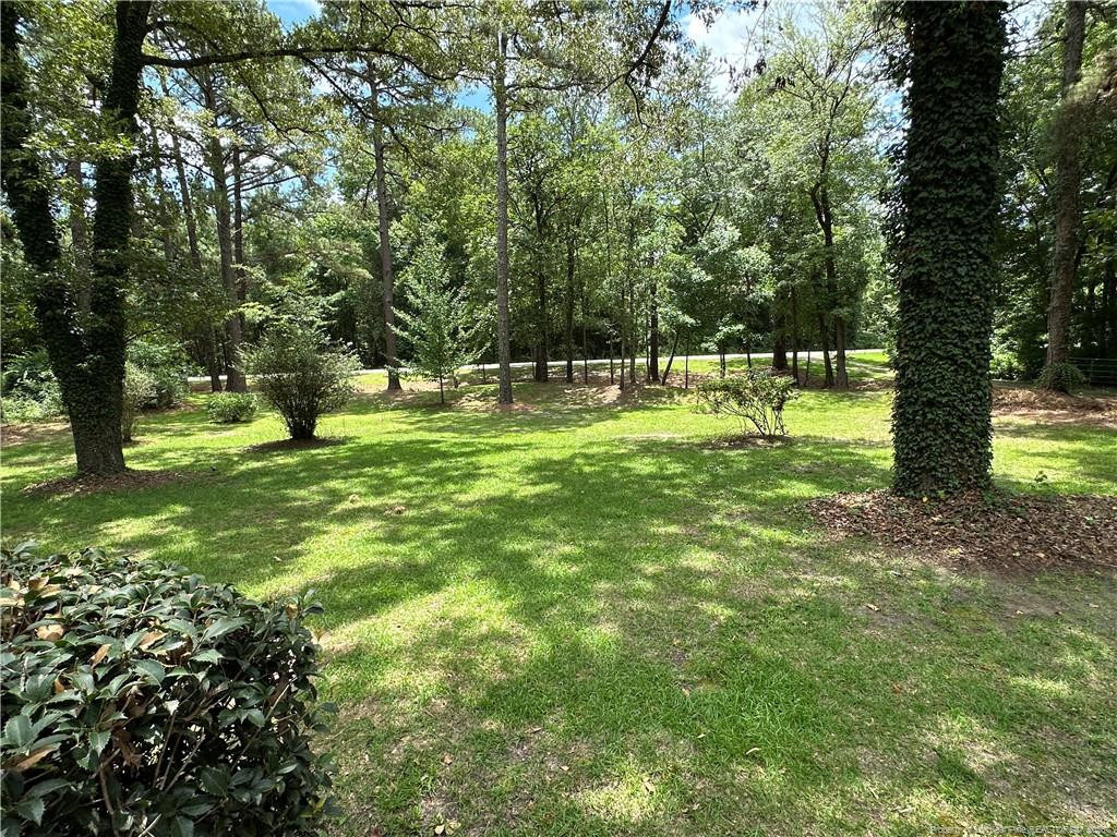 21621 Old Maxton Road - Photo 4