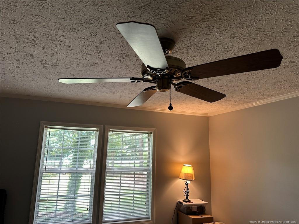 21621 Old Maxton Road - Photo 12