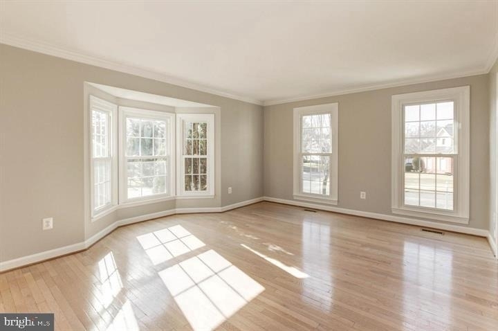 14213 Floral Park Drive - Photo 7