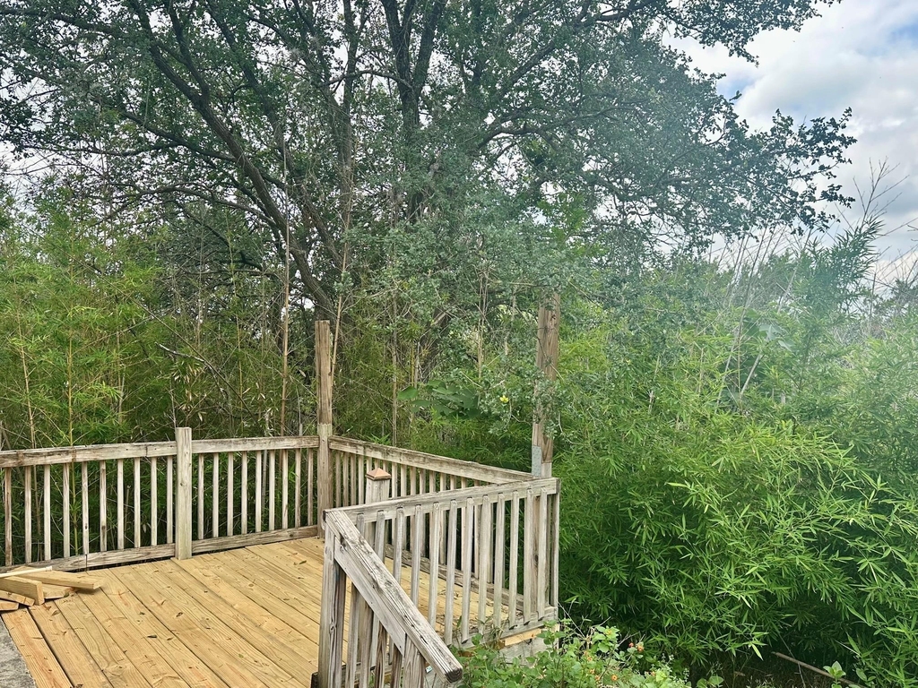 1103 Hillyer St - Photo 1