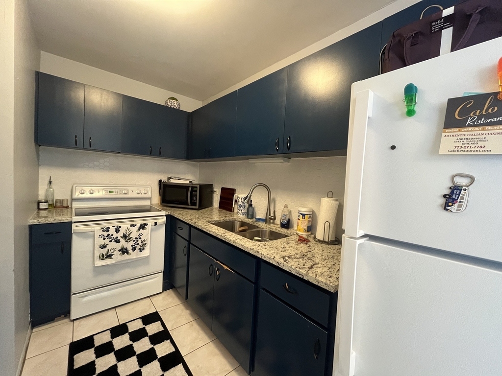 5320 N Sheridan Road - Photo 11