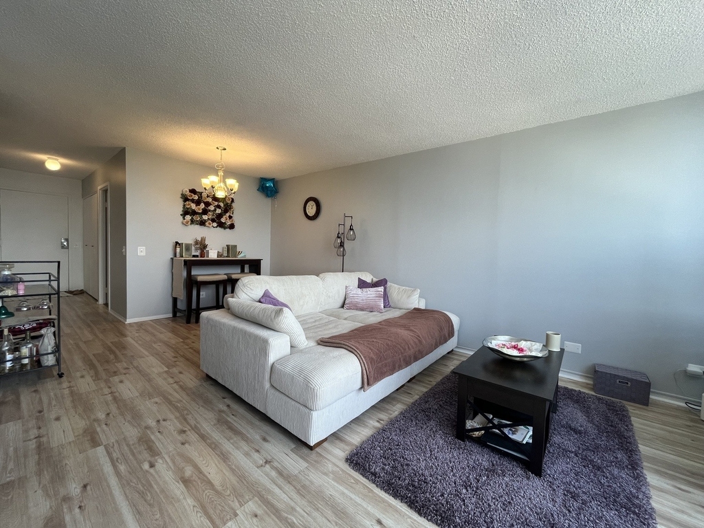 5320 N Sheridan Road - Photo 4