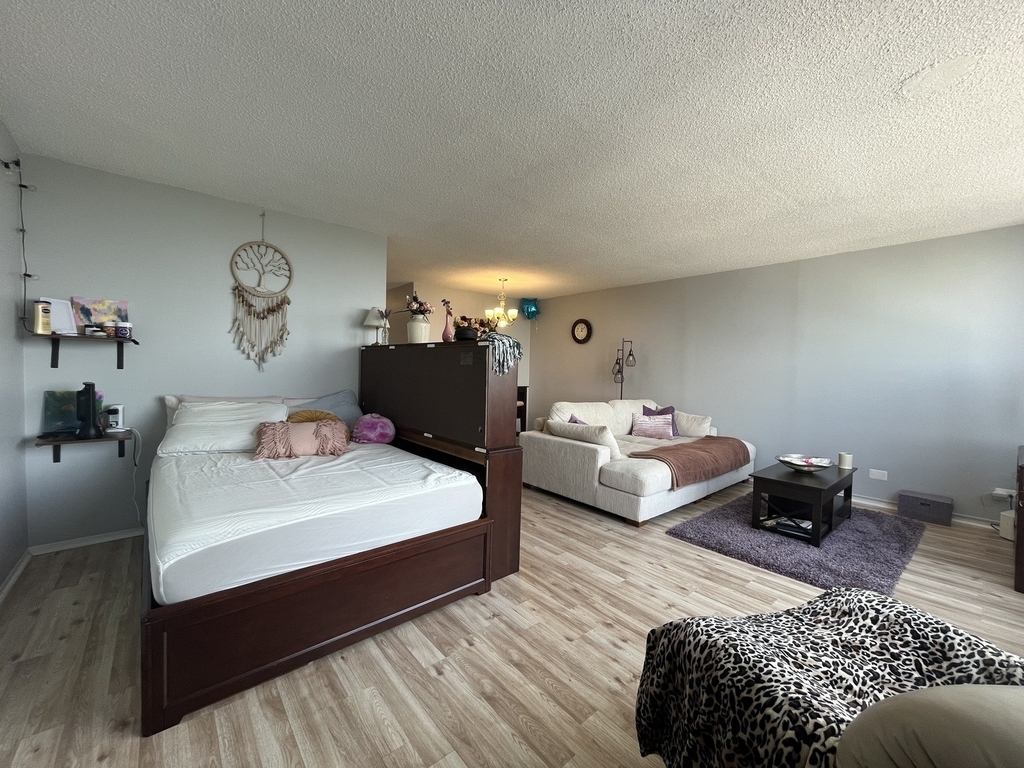 5320 N Sheridan Road - Photo 8