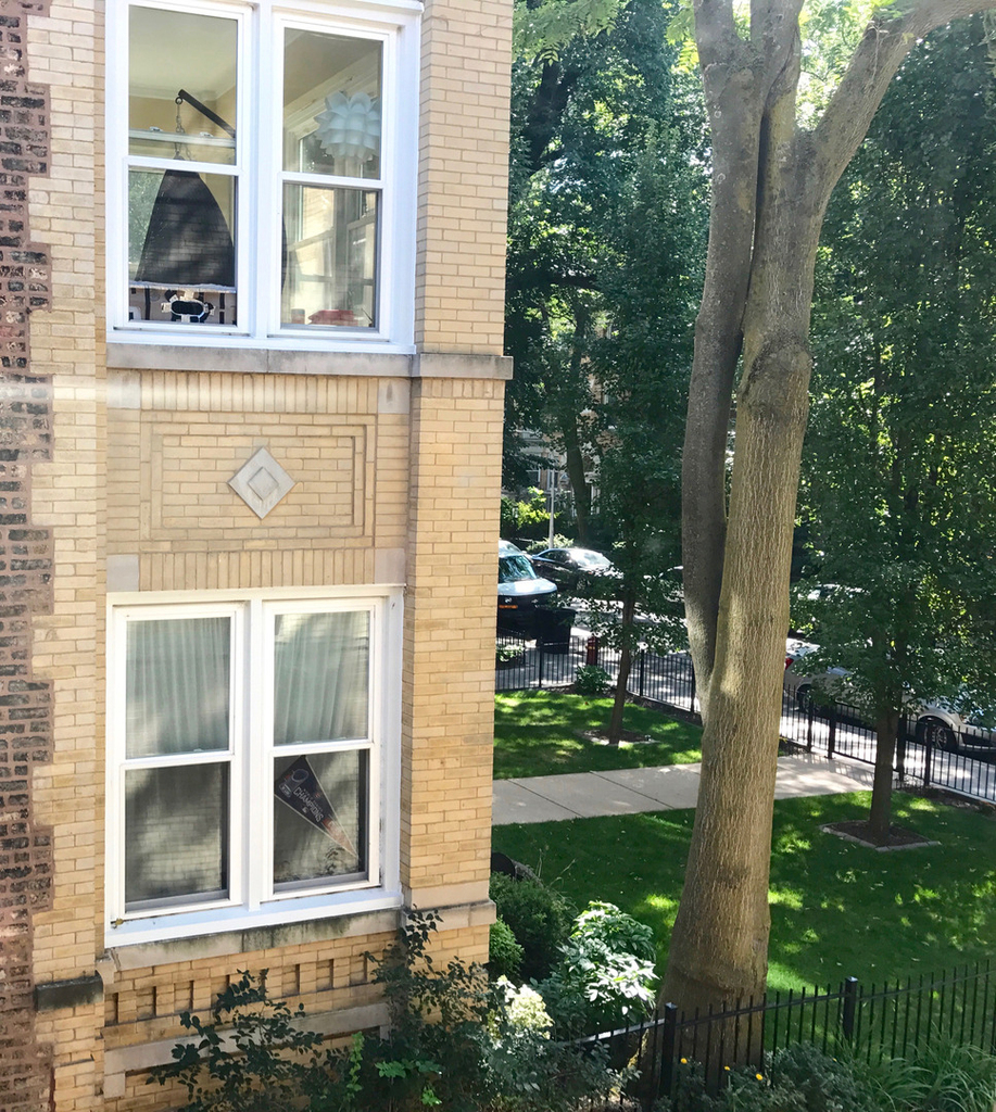 526 W Roscoe Street - Photo 15