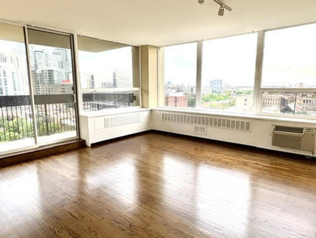 1360 N Sandburg Terrace - Photo 10
