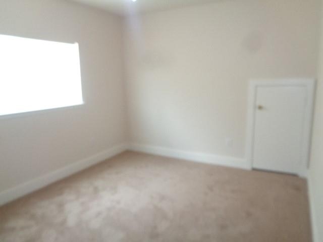 231 Silver Mist - Photo 15