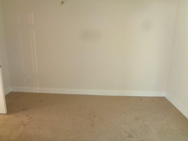 231 Silver Mist - Photo 9