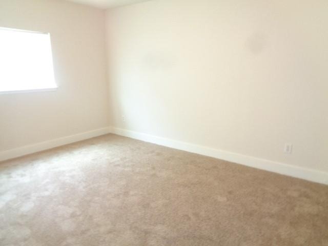 231 Silver Mist - Photo 18