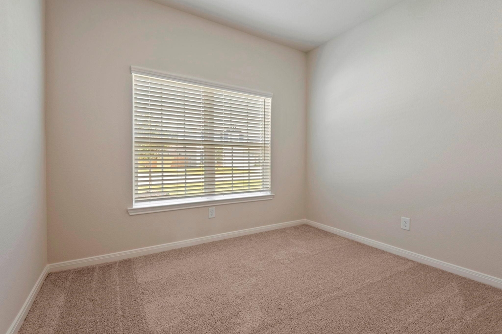 10351 Red Cardinal Drive - Photo 11