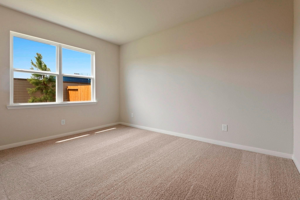 10351 Red Cardinal Drive - Photo 15