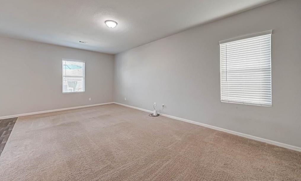 10133 Pappas Drive - Photo 6