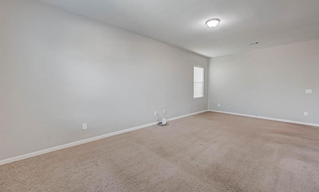 10133 Pappas Drive - Photo 3