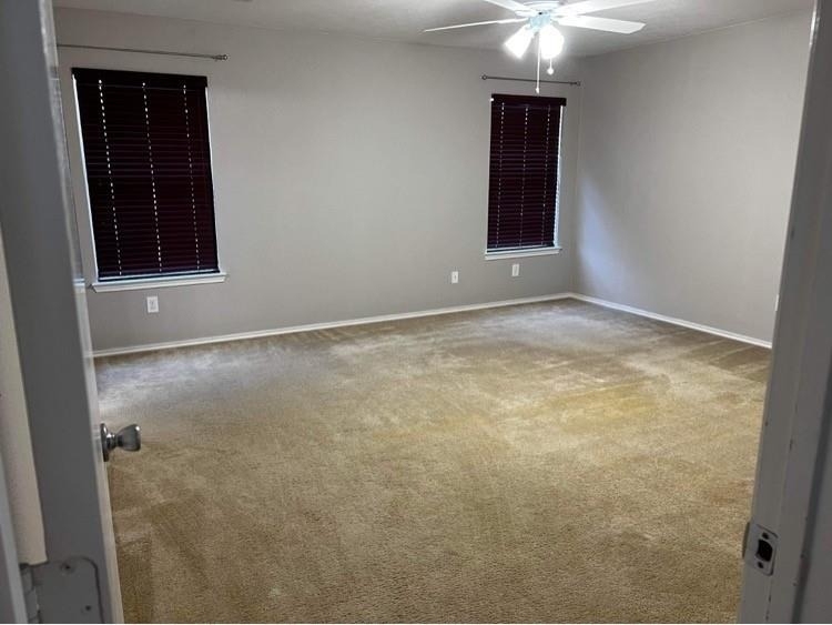 18102 Rexine Lane - Photo 14