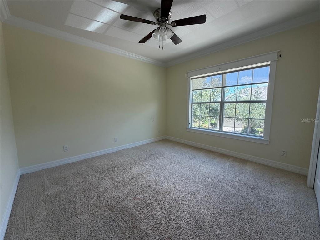 10531 Mistflower Lane - Photo 16