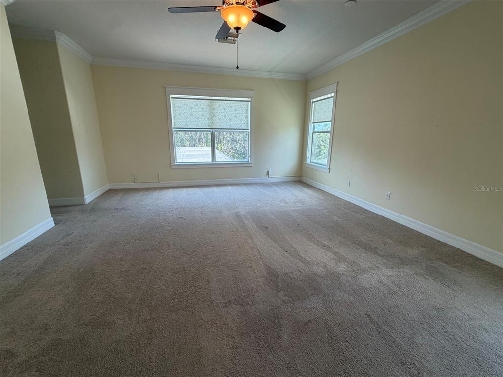 10531 Mistflower Lane - Photo 10