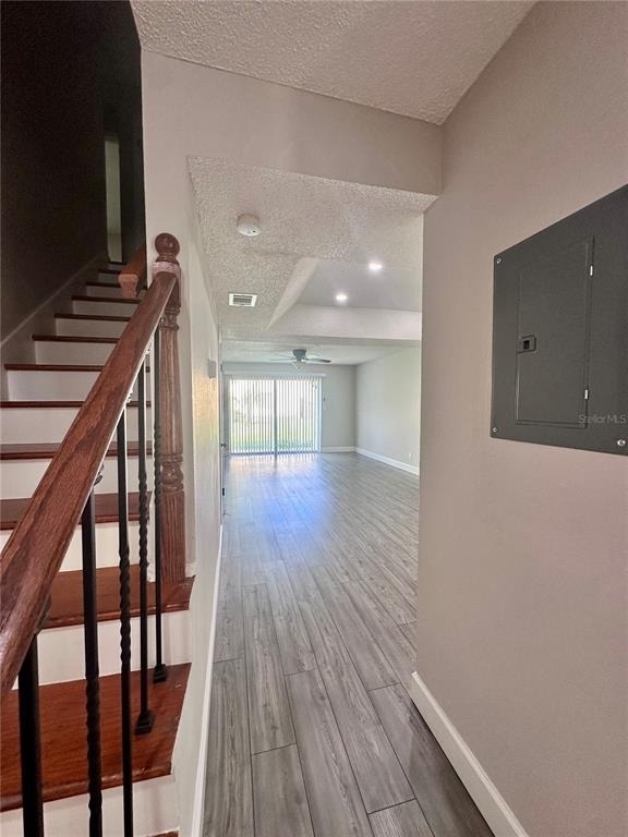 7512 Bolanos Court - Photo 4