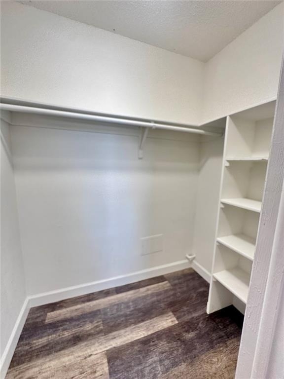 7512 Bolanos Court - Photo 22
