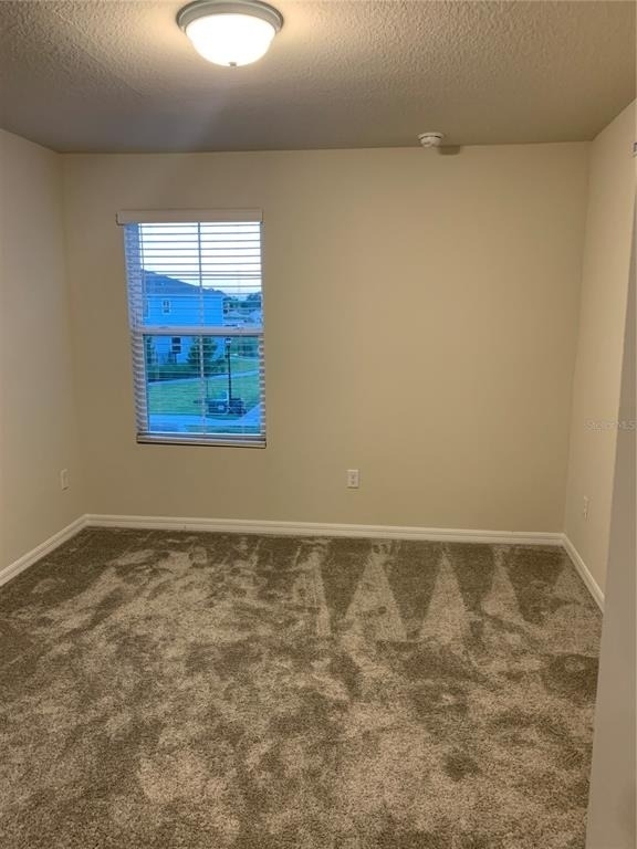 2567 Buena View Road - Photo 8