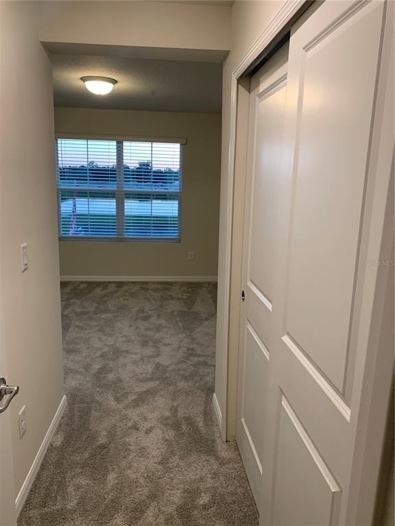 2567 Buena View Road - Photo 10