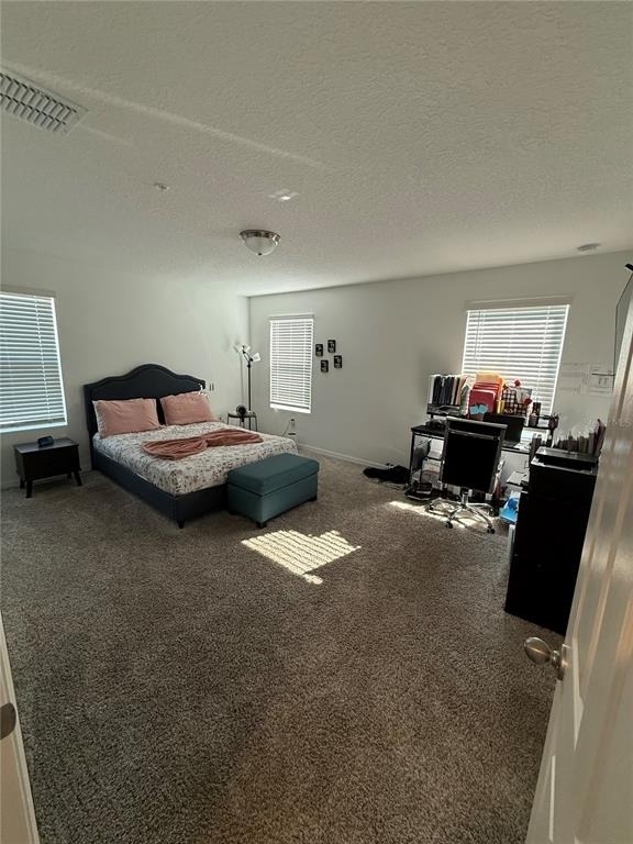 2130 Crape Jasmine Lane - Photo 12