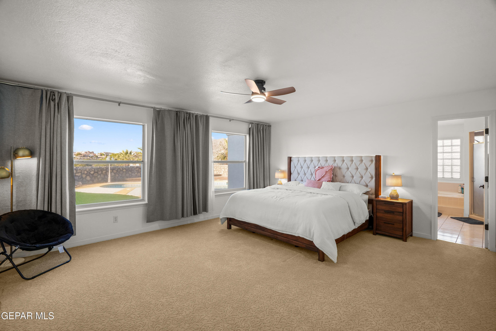 6205 La Posta Drive - Photo 33