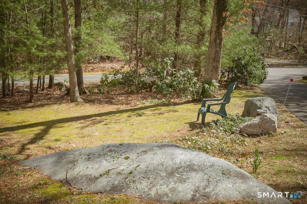 100 White Birch Drive - Photo 2