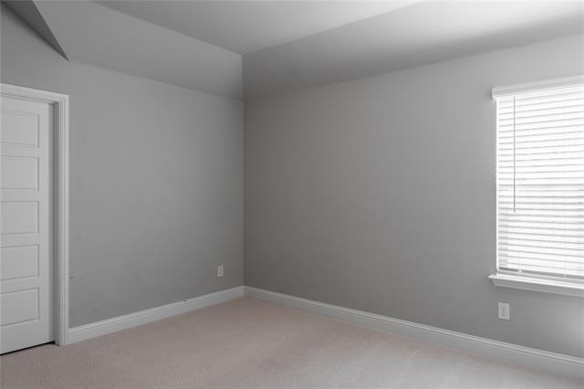 11436 Tusk Trail - Photo 15