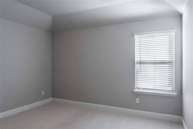 11436 Tusk Trail - Photo 16