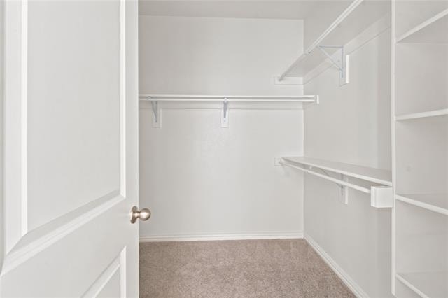 2036 Almassera Drive - Photo 15