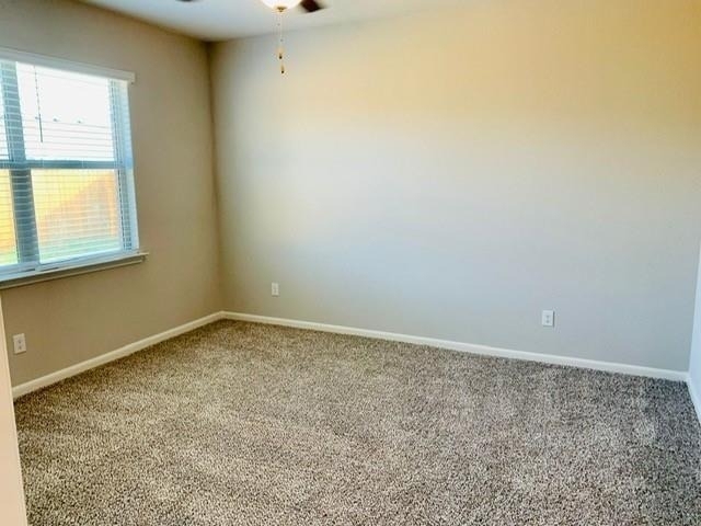 116 Emma Drive - Photo 21